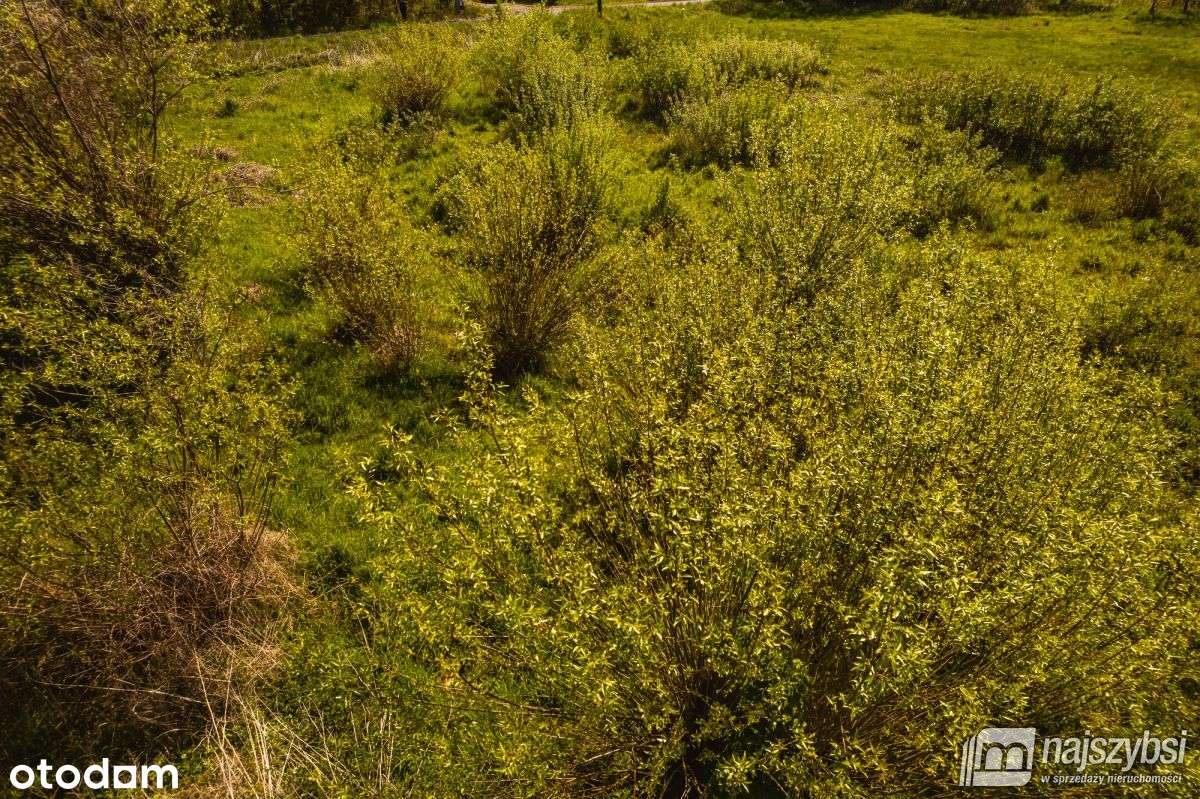 Jasienica- Dwie działki w cenie jednej - Pełny obrazek: 4/15