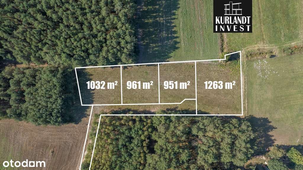 Działka budowlana Brzozie Bory Tucholskie - Pełny obrazek: 4/9
