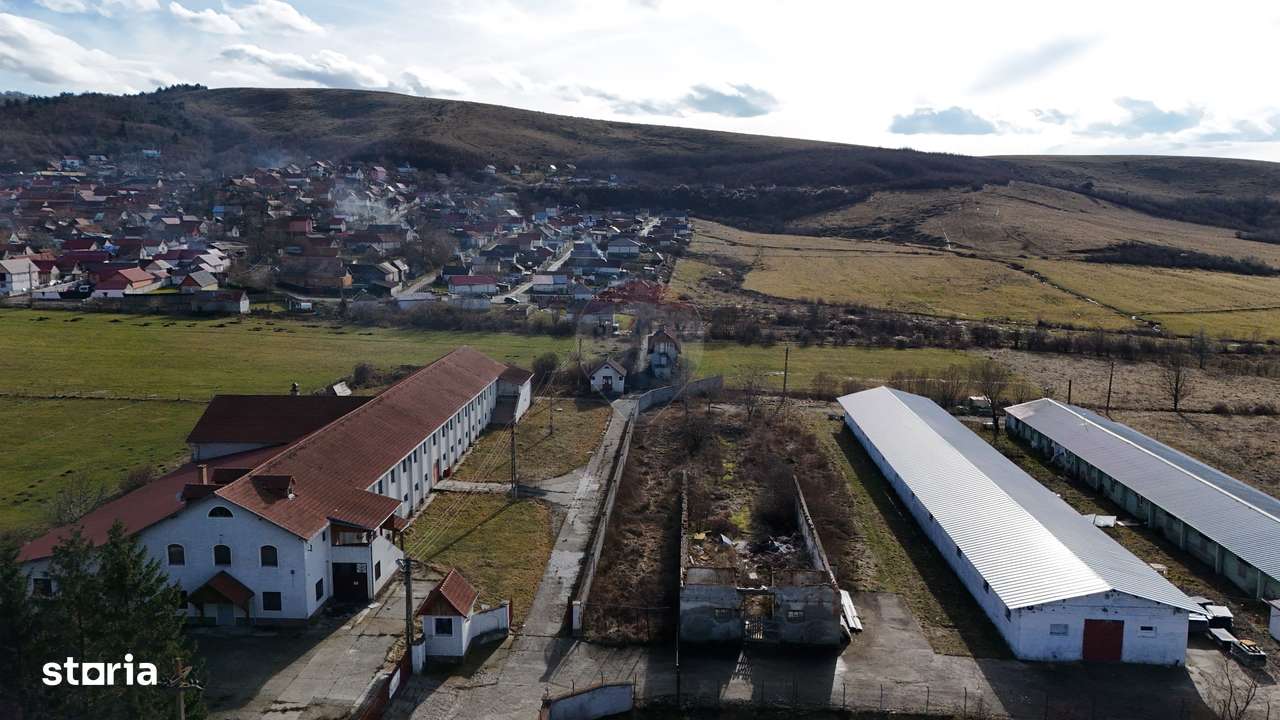 Teren industrial 1.729 mp I Demolare + construcție hală Teliu-6