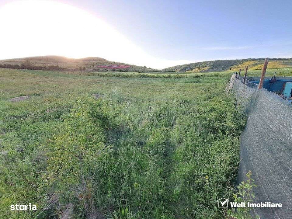 Teren 2000 mp centura Donath - Floresti - Imagine principală: 1/5