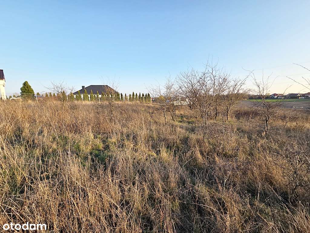 Z widokiem na panoramę miasta-8