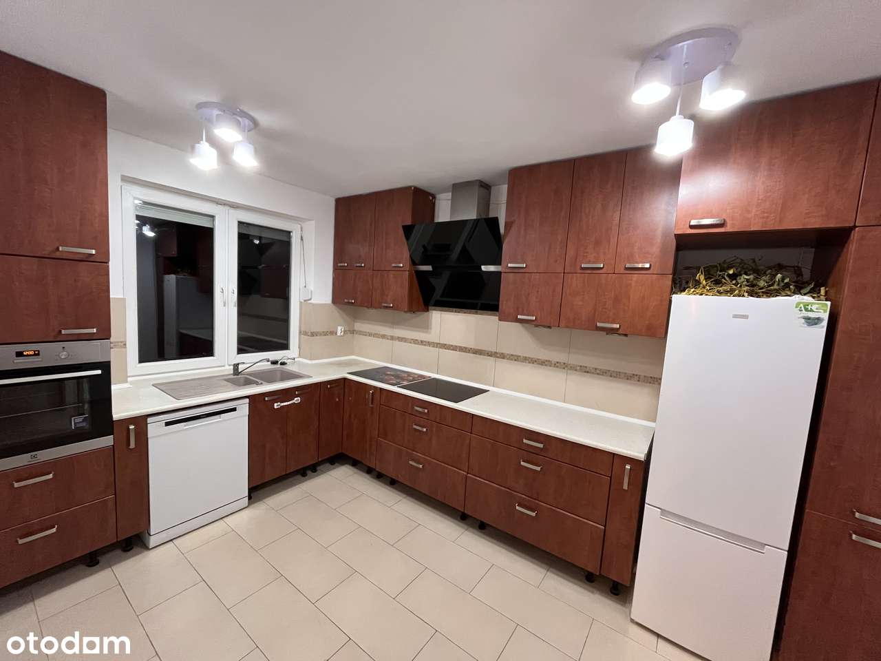 Nowoczesny dom z 5 pokojami na wynajem - Pełny obrazek: 5/7