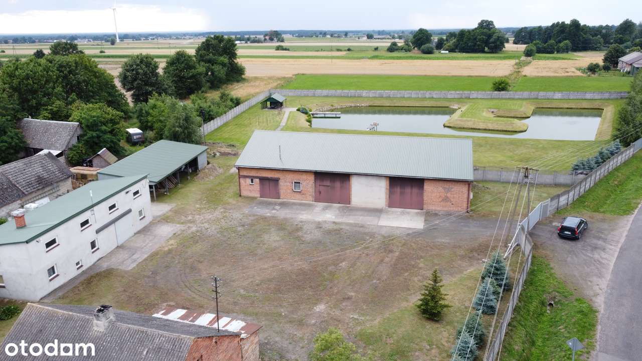 Piękna działka 1 ha ze stawem i budynkami! Potencjał inwestycjny. - Pełny obrazek: 4/5