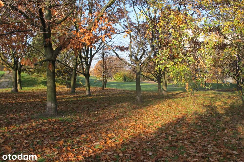 Mołdawska/Racławicka 2/3 pok. winda os. Oświata balkon-11