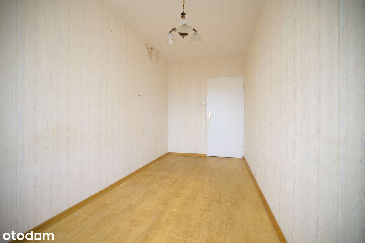 Poznań Jeżyce Centrum 3 pokoje Sołacz Park-1