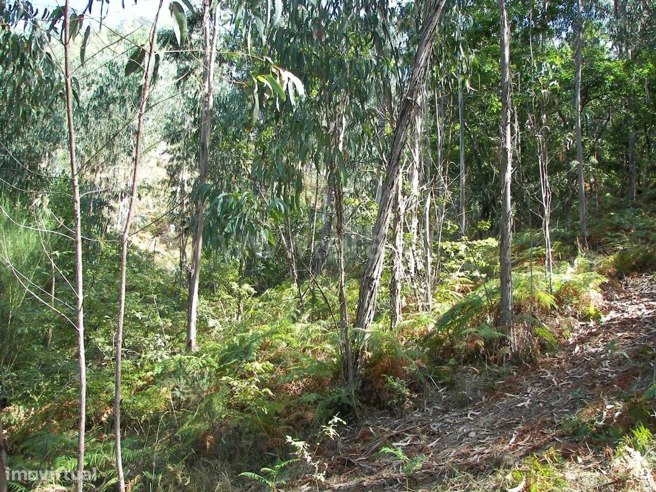 Terreno em Armil - Grande imagem: 5/17