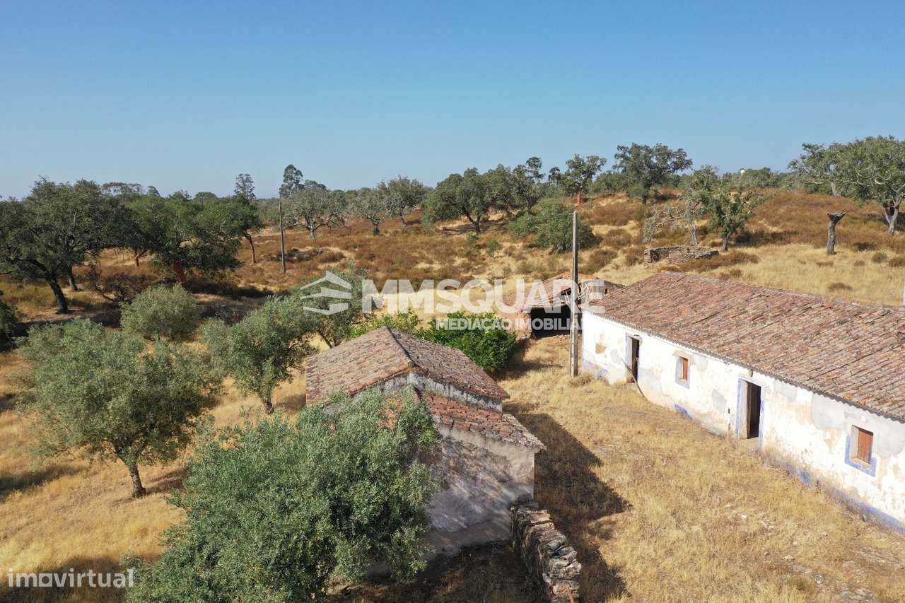 Monte do Chaparral — Ourique-16