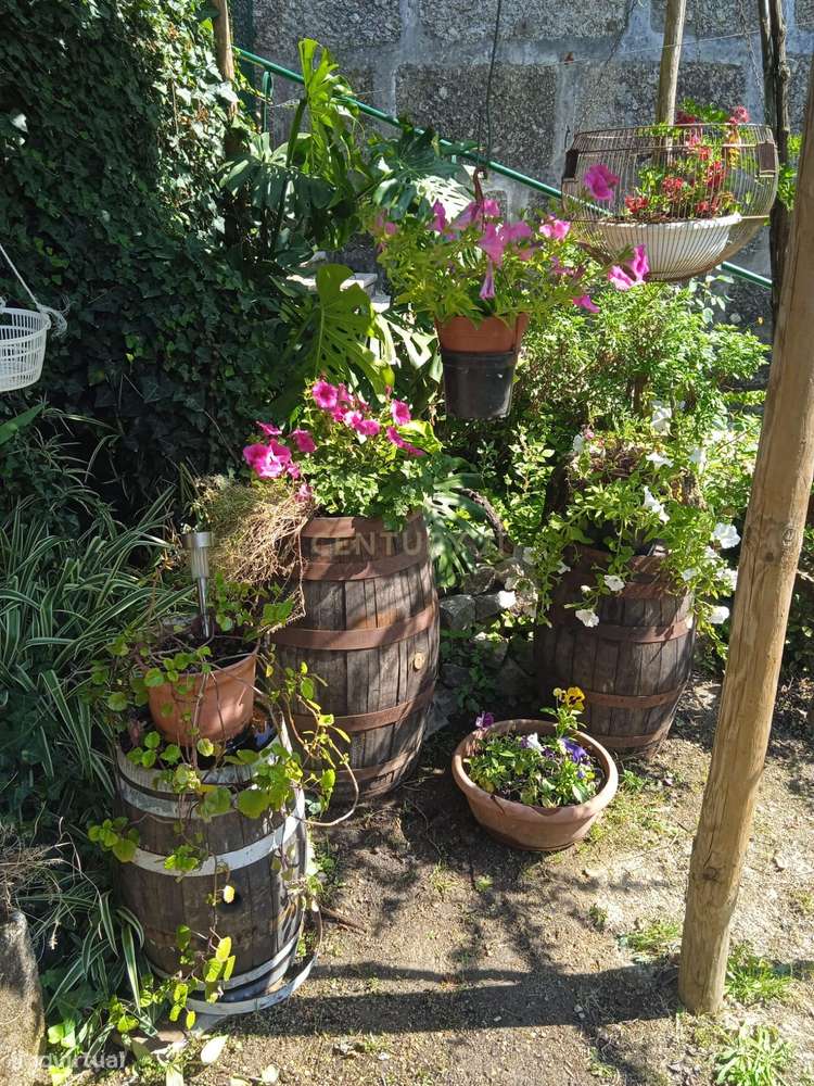 Quintinha - São Tomé de Covelas, Baião-30