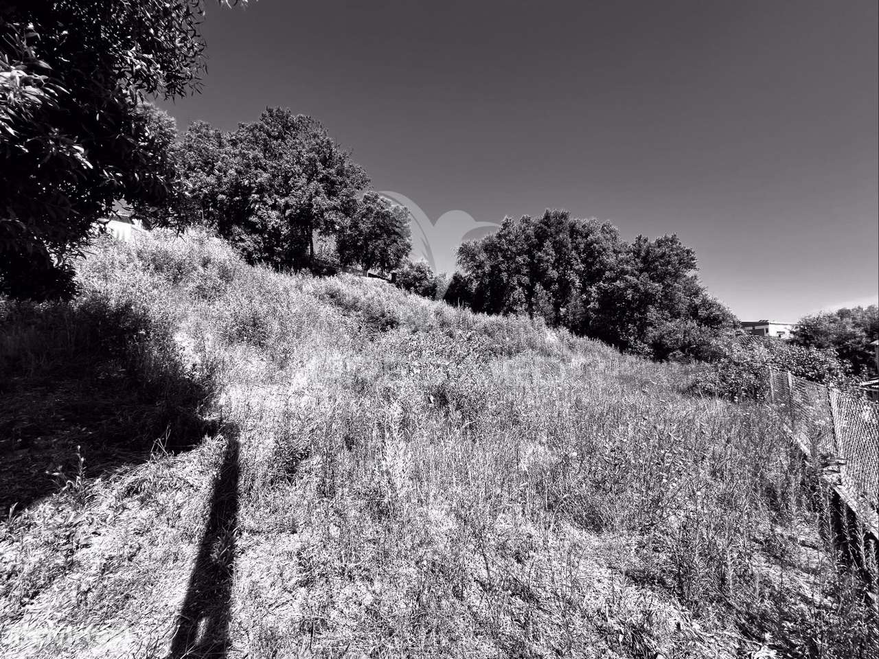 VISTA DESLUMBRANTE | TERRENO URBANO | 1000M2 - Grande imagem: 5/6