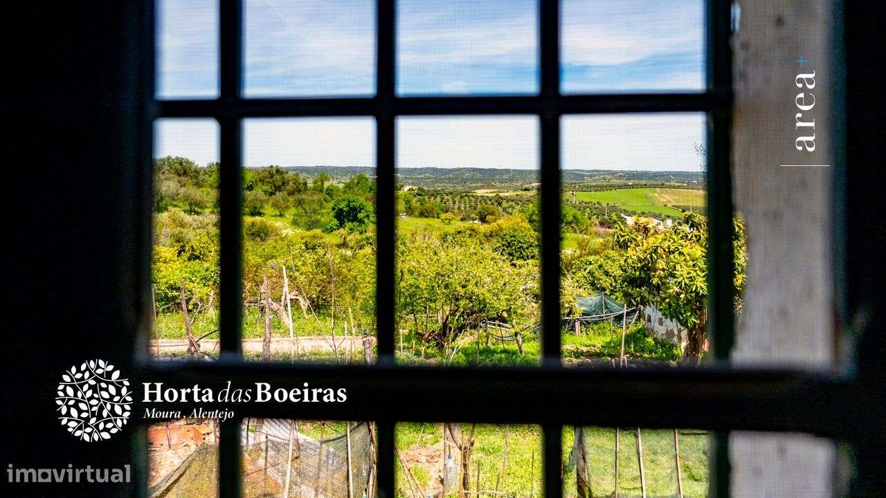 Imóvel Exclusivo | Hortas das Boeiras-28