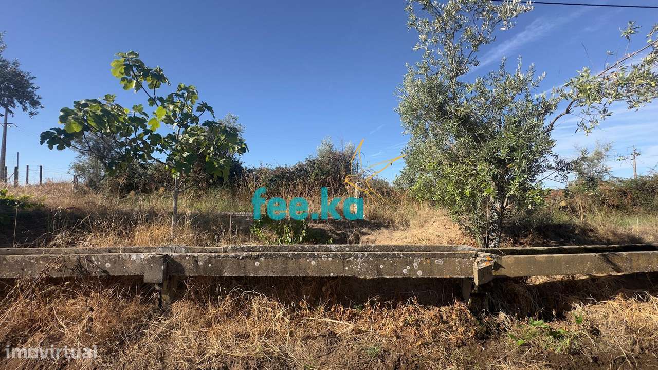 Terreno em Ladoeiro-5