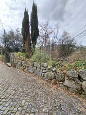 Quintinha com 2 hectares - Grande imagem: 3/47