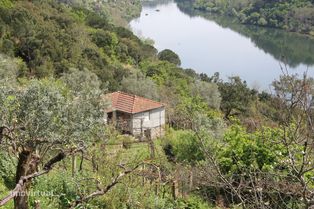 Moradia para restauro com vista rio em Bem Viver, Marco de Canaveses - Grande imagem: 2/19