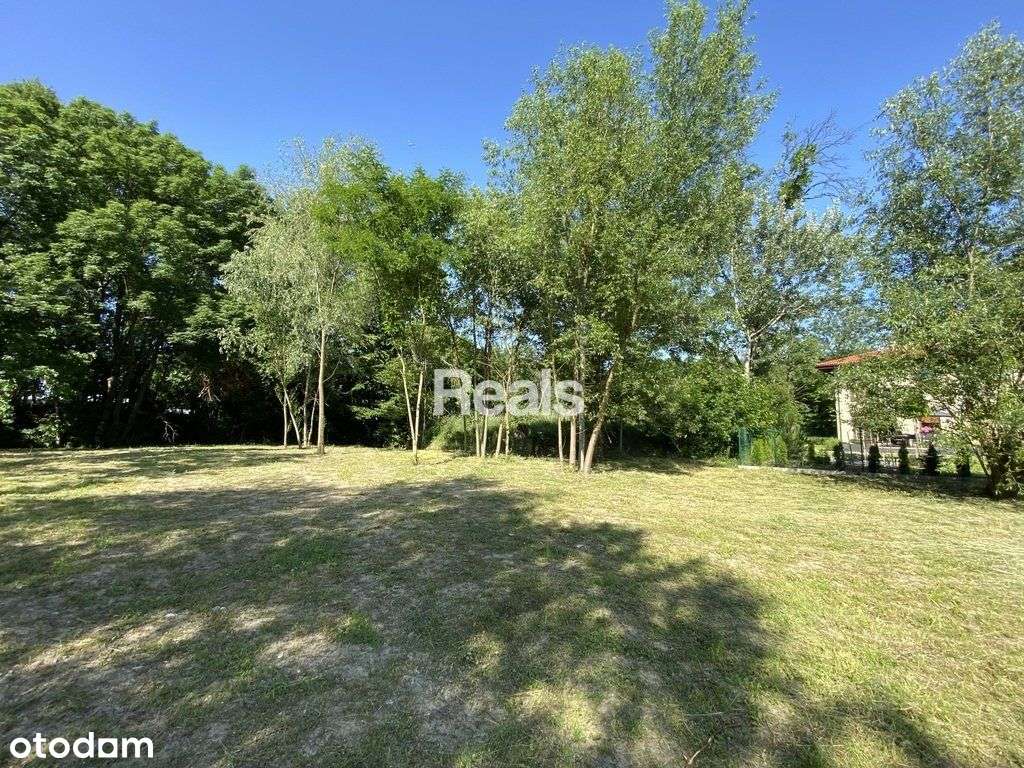 Blisko Wkd! - Pełny obrazek: 3/7