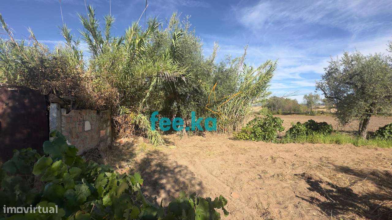 Terreno em Ladoeiro-13