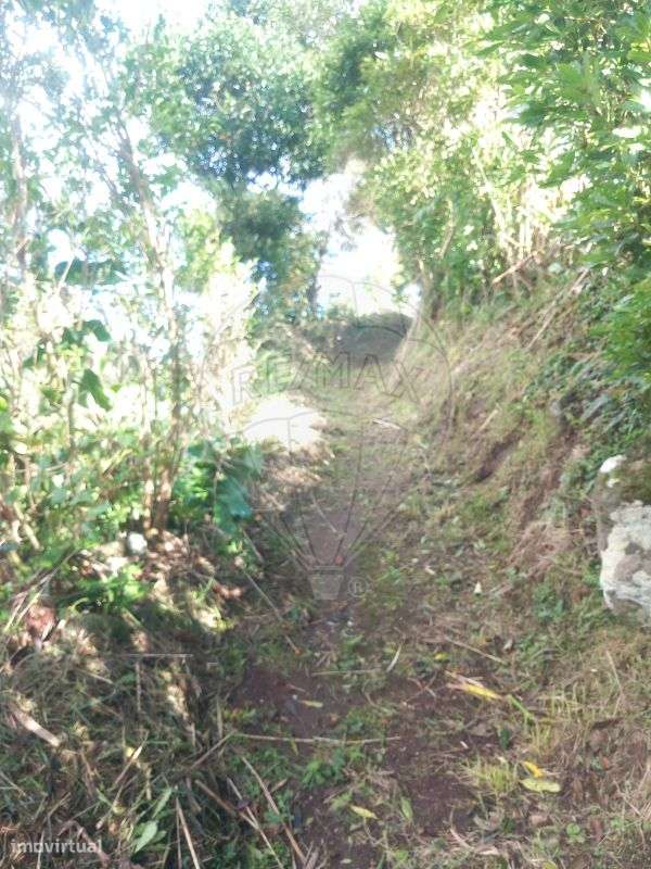 Terreno  para venda - Grande imagem: 5/6