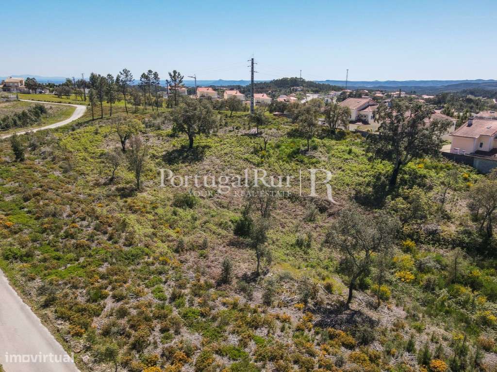 Terreno Apto para a construção de Moradias - 1 hectare - Grande imagem: 5/9
