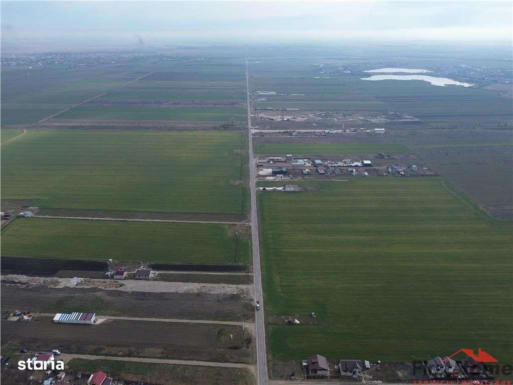 Teren intravilan 7.500 mp, D=23 ml, STRADA PRINCIPALA,zona ONASIS - Imagine principală: 5/12