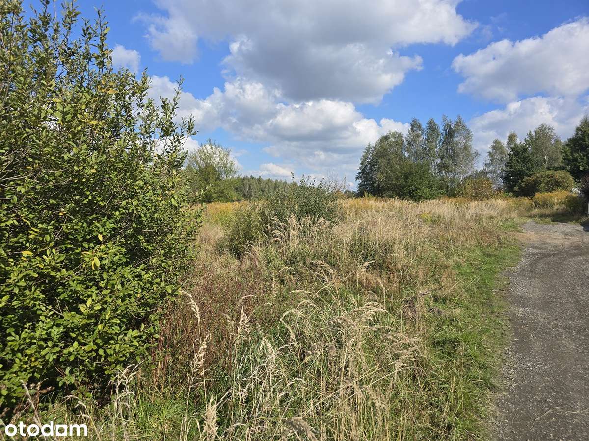 Preczów, działka budowlana, media przy działce, plan zagospodarowania - Pełny obrazek: 5/10