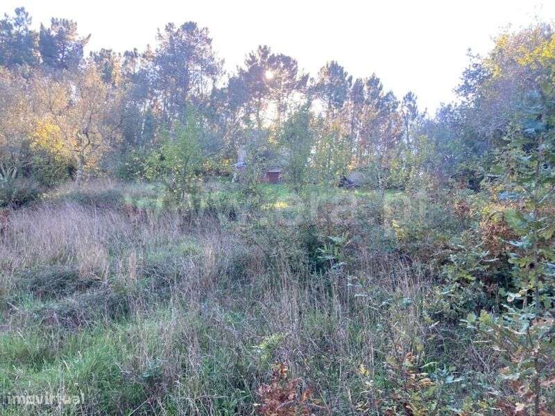 Terreno Rústico / Seia, Seia, São Romão e Lapa dos Dinheiros - Grande imagem: 3/12