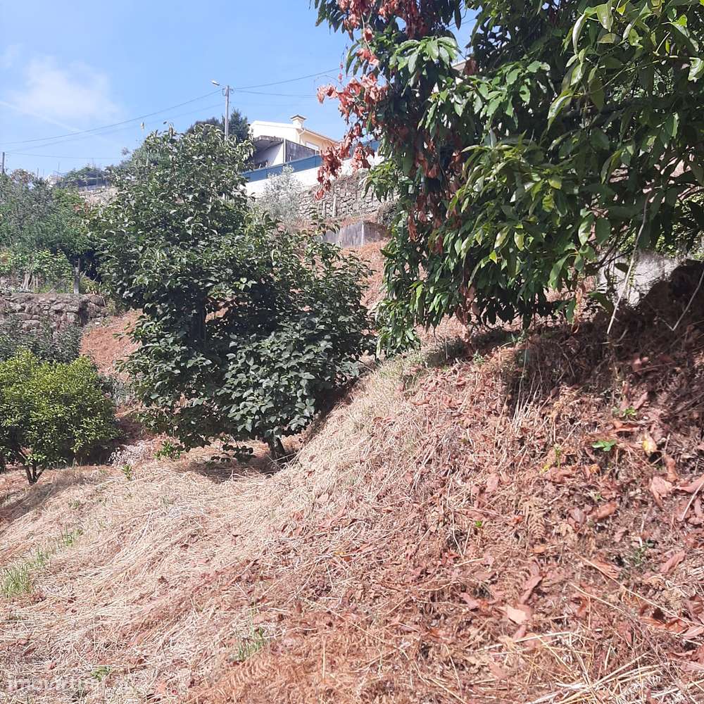 Casa em pedra para reconstruir Canelas Penafiel-10