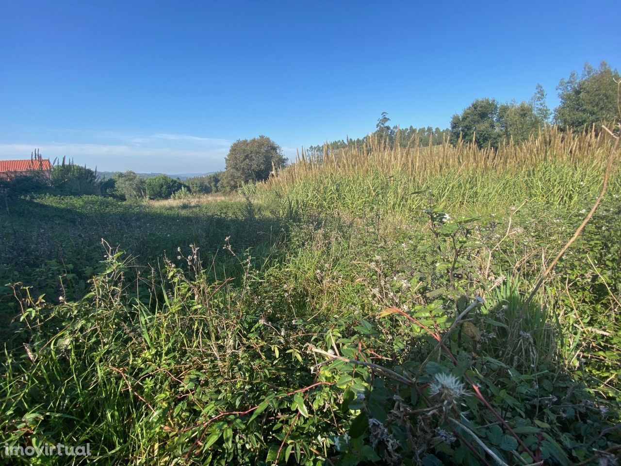 Terreno com 3.100 m2 inserido em malha urbana - Caldas da Rainha