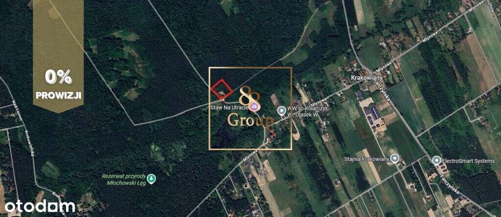 Siedlisko w sercu natury otoczone urokliwym lasem-12