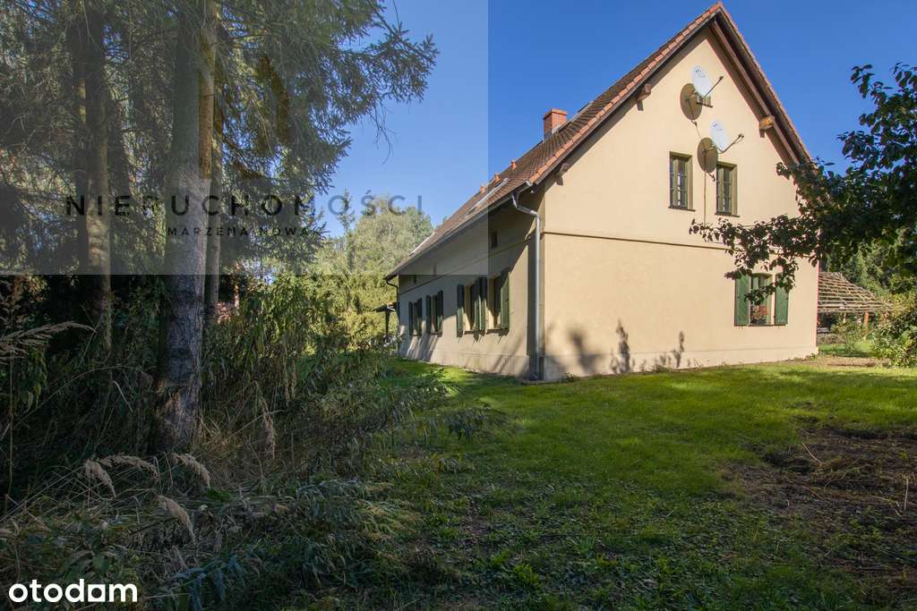 Posesja w Jaźwinach, gm. Trzebnica / 2,875 ha-17