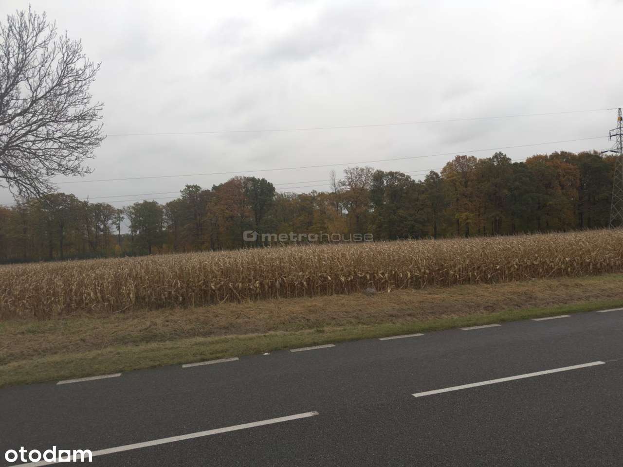 DZIAŁKA INWESTYCYJNATEREN PRODUKCYJNO-MAGAZYNOWY - Pełny obrazek: 4/5