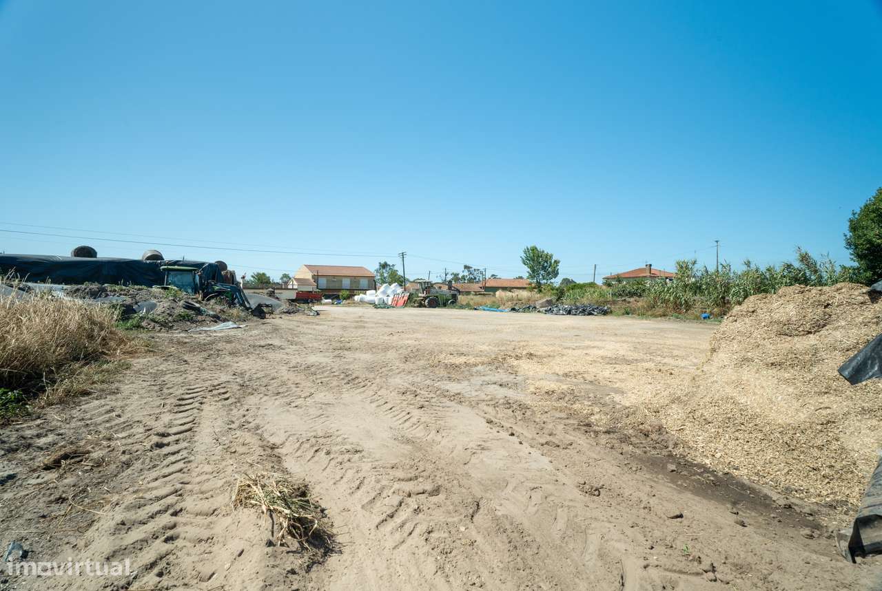 Terreno para venda - Murtosa-1