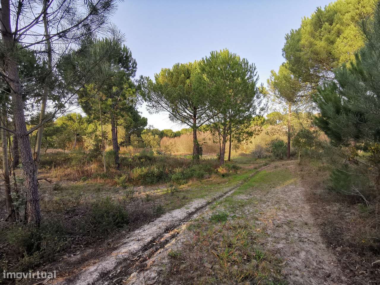 Moradia T2  Lamarosa de Coruche-48