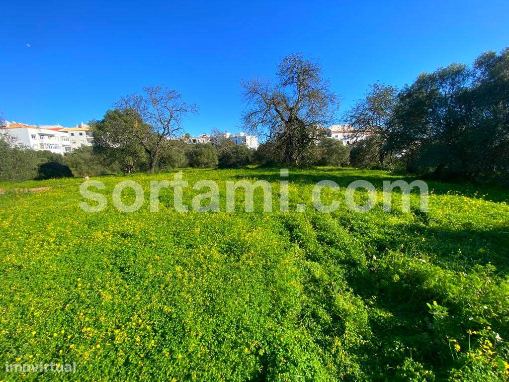 Terreno Rústico  Venda em Almancil,Loulé - Grande imagem: 4/4