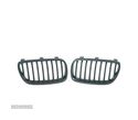 GRELHA FRONTAL PARA BMW X3 E83 04-10 - 1