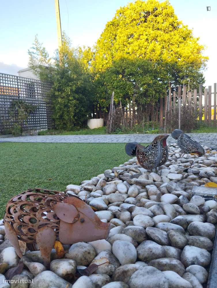 Casa com 2 quartos - localizado em Coimbra - Grande imagem: 3/10