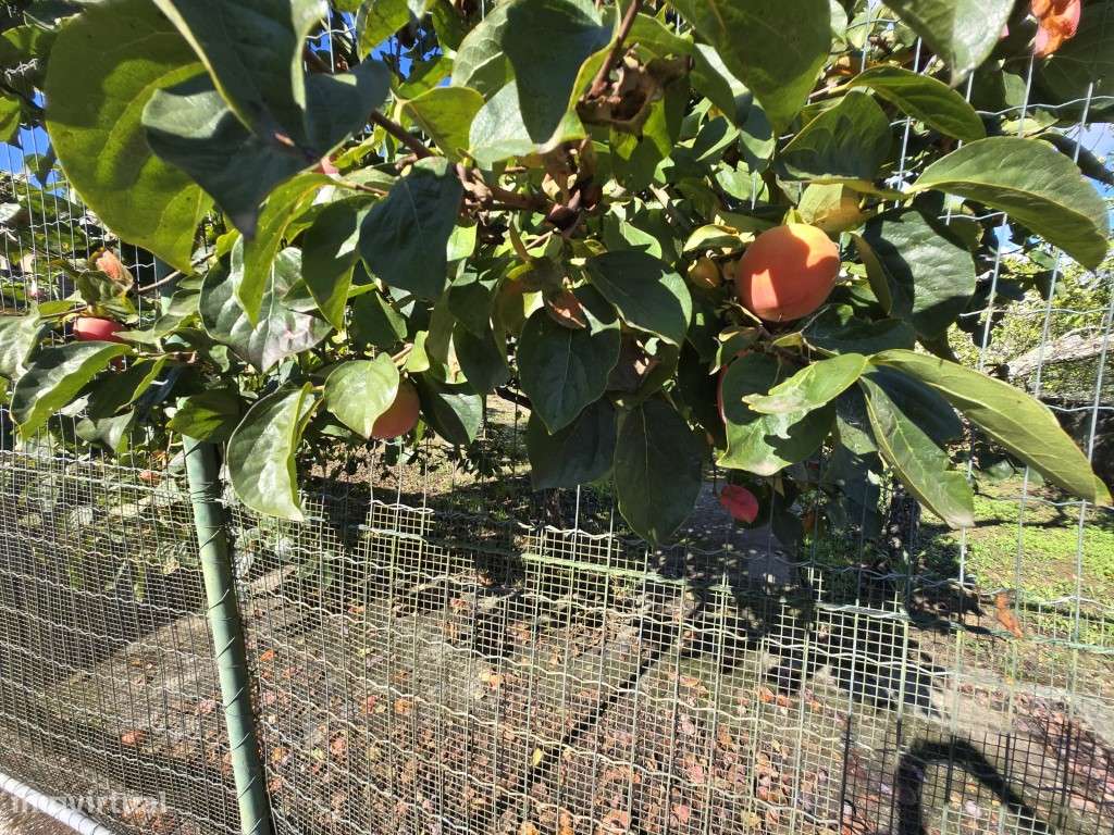 Moradia Encantadora em Almornos - Natureza, Tranquilidade e Conforto!-32