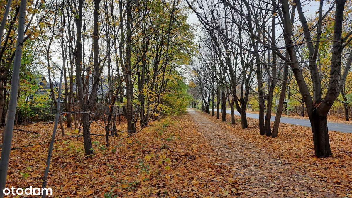 Sprzedam działkę ** POZNAŃ_Sucholeska_Marciniaka