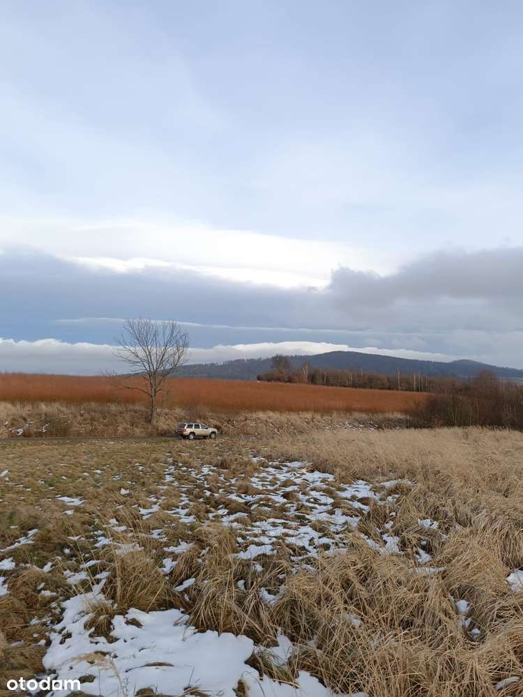 Działka 5900 m^2 - Pełny obrazek: 4/5