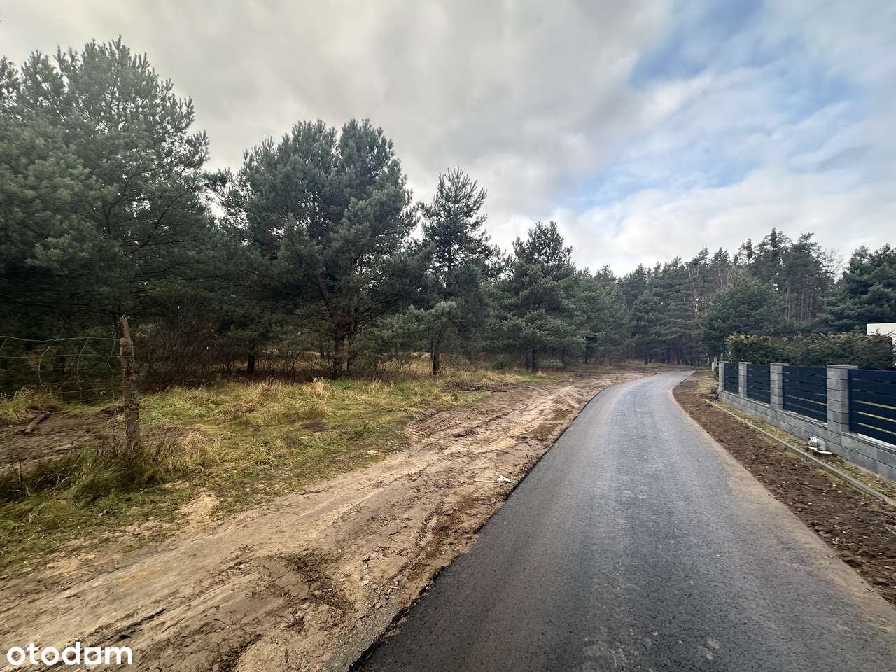 Przepiękna działka w otoczeniu lasów 7 minut od Słubic - Pełny obrazek: 5/8