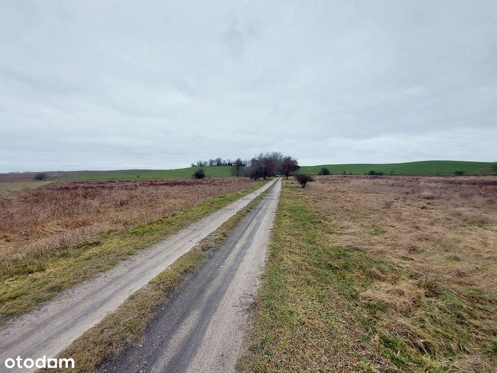 4 działki pod zabudowę jednorodzinną - Zwierzyn - Pełny obrazek: 5/6