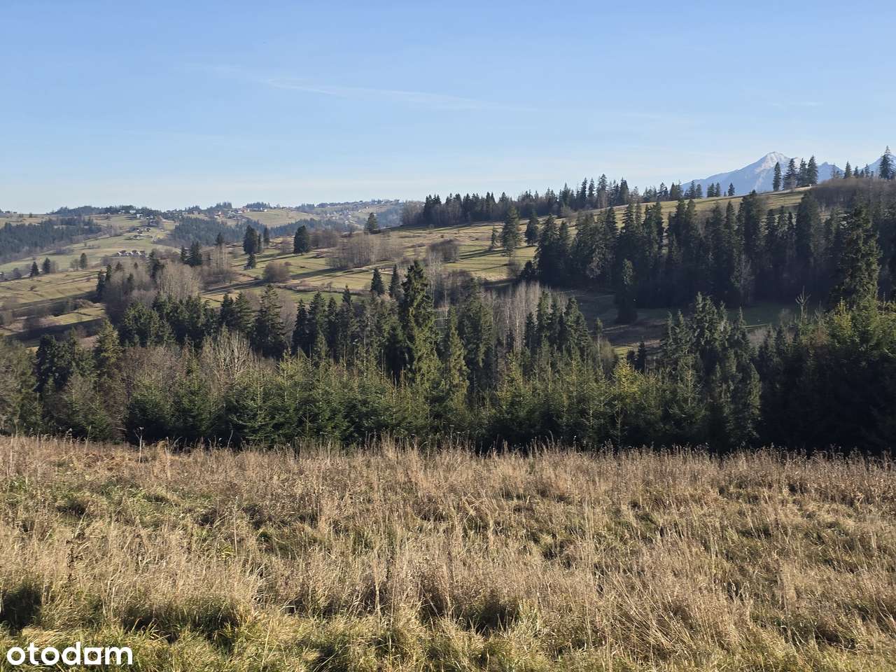 Działka Widokowa w Leszczynach - Pełny obrazek: 4/5
