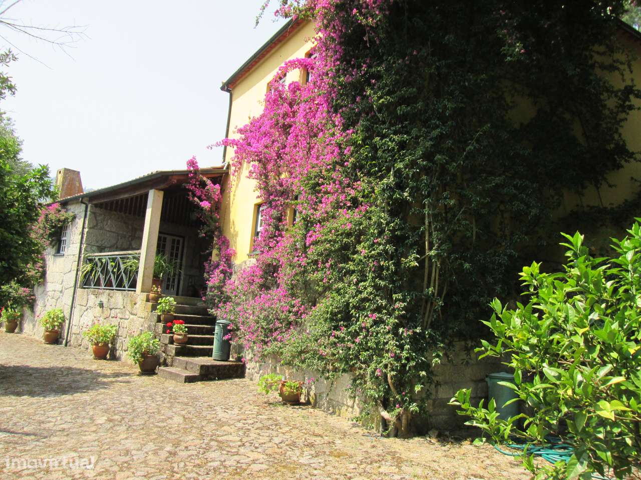 Quintinha no Minho Ponte de Lima * 10.000 m2 * a 90 Km do Porto-53