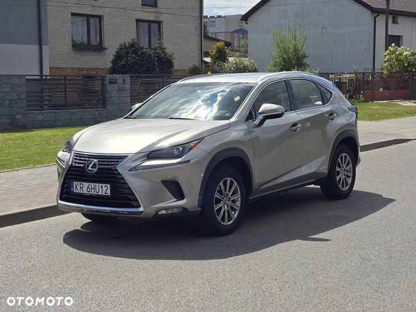 Lexus NX - 6