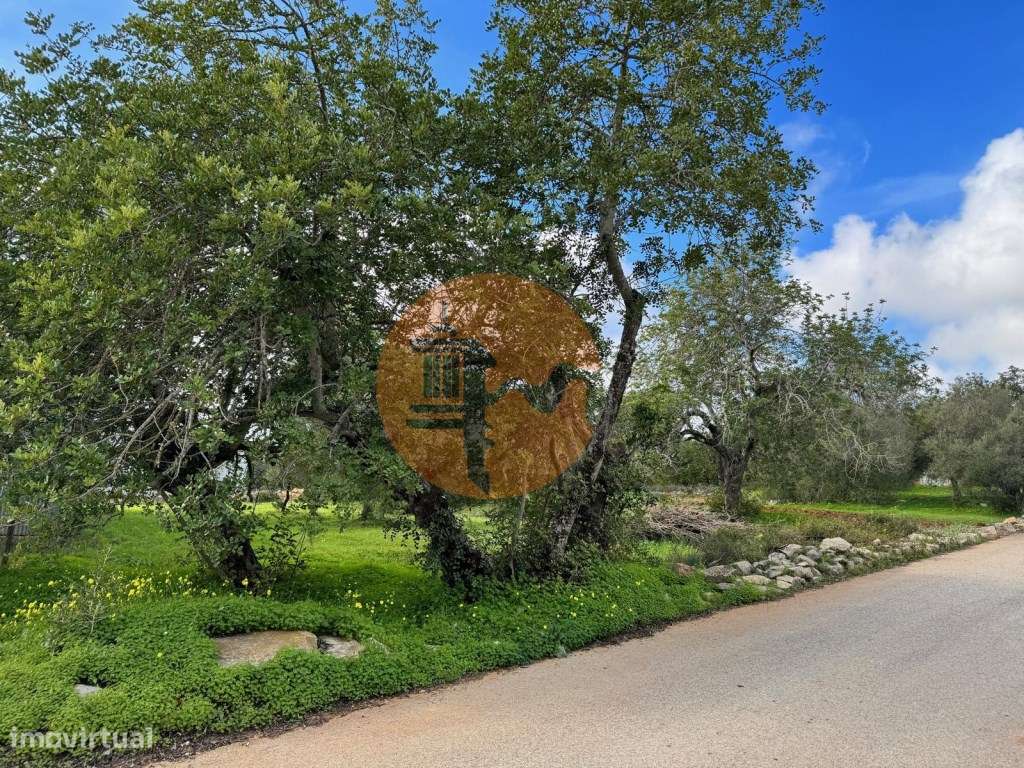 Terreno Urbano para Construção em São Brás de Alportel - Zona dos M... - Grande imagem: 4/17