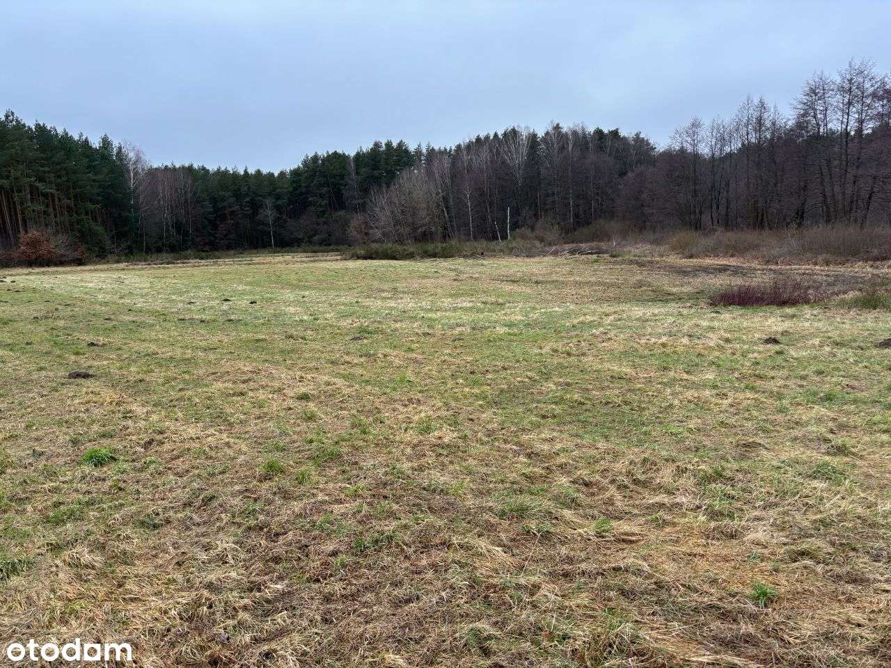 Działki budowlane blisko Słupska - Pełny obrazek: 3/6