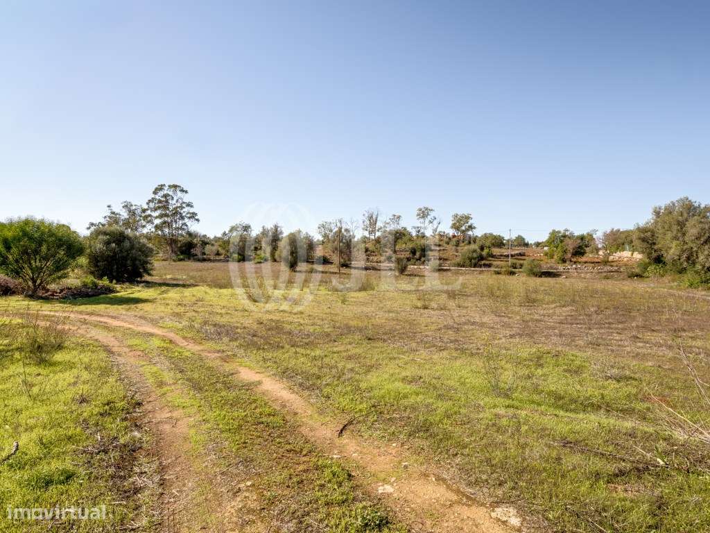 Terreno com ruína, em Alcantarilha, Pêra, Silves, Algarve - Grande imagem: 5/35