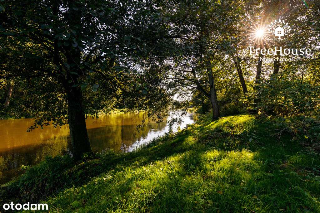 Wyjątkowa oferta inwestycyjna - Pełny obrazek: 4/20