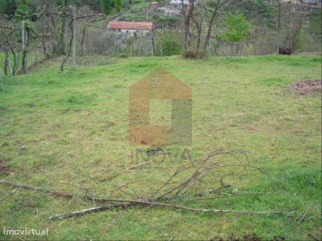 Terreno, Aboim da Nóbrega - Grande imagem: 3/3