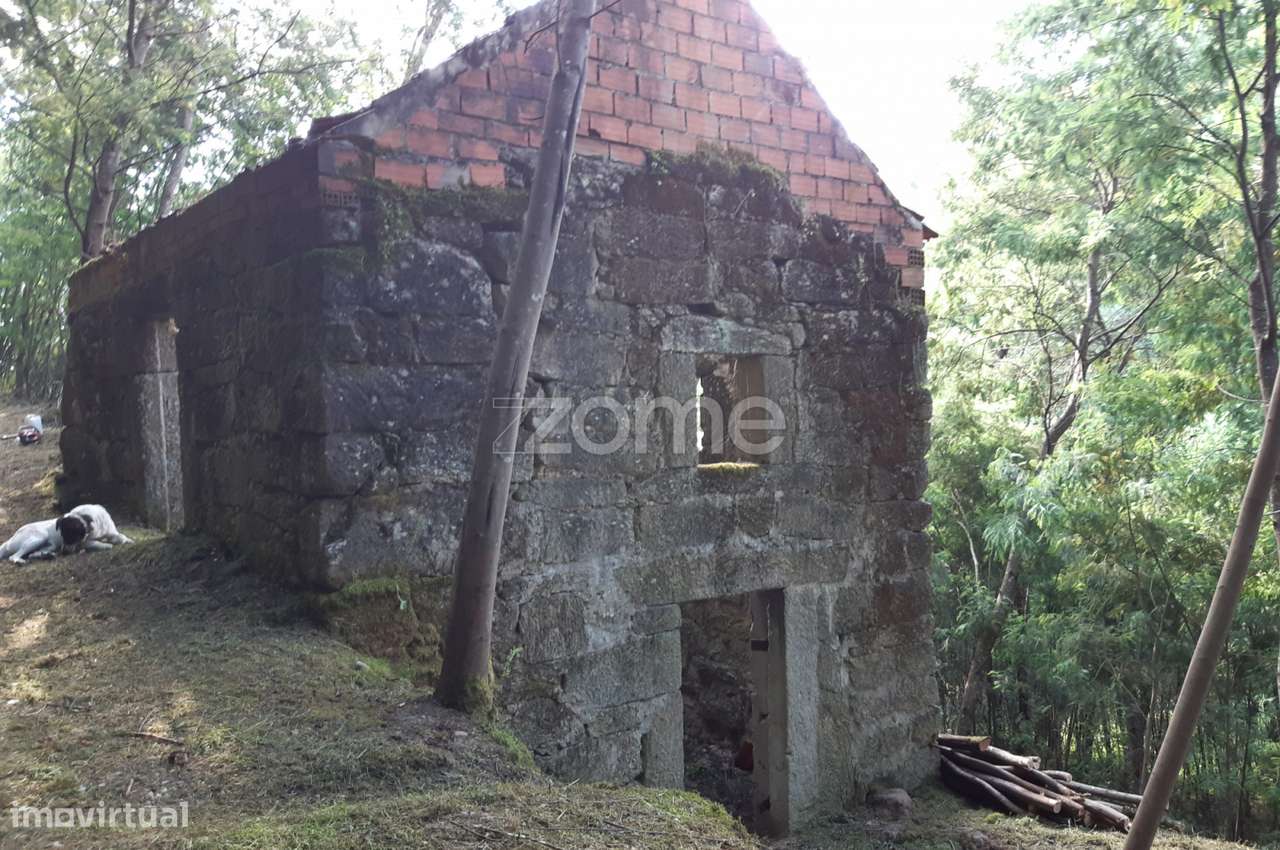 Quinta Junto ao rio Mondego - Grande imagem: 3/21