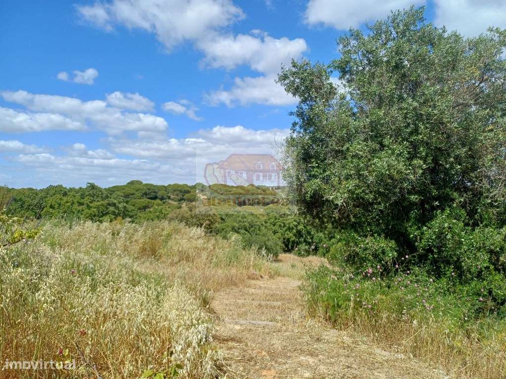 Monte Alentejano - Sul de Melides e 35 minutos da Comporta-21