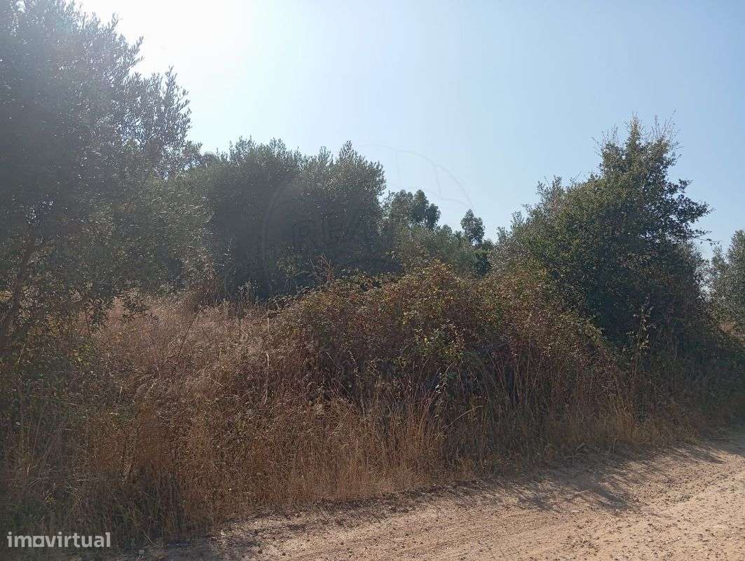 Terreno  para venda - Grande imagem: 4/4